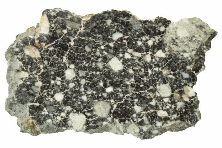 Polished Lunar Meteorite Slice ( g) - NWA #249938